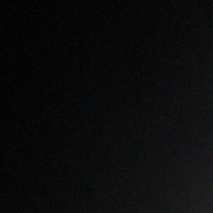 Meet your Posher, Winston